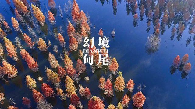 统一科技石英砖常价直销确保客户的满意度和信赖度